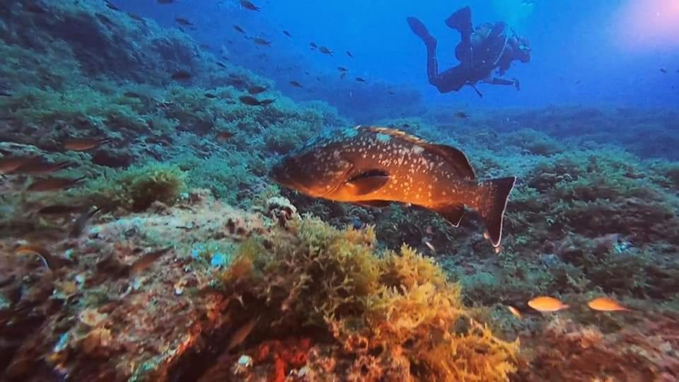 Cabo De Palos Apartamento Vacacional Kültér fotó