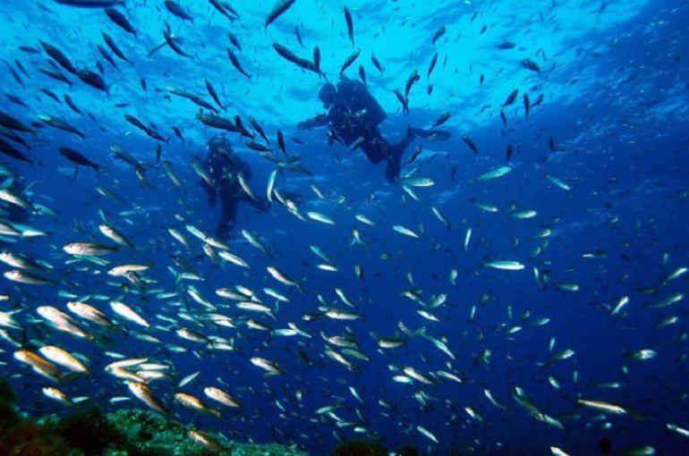 Cabo De Palos Apartamento Vacacional Kültér fotó